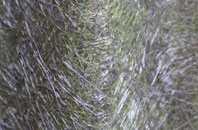 Commins fibreglass roof work