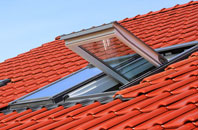 Commins roof window